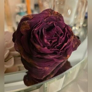 Meet your Posher, Tia